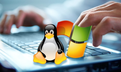 Хостинг-обзор: Windows или Linux хостинг для размещения сайта