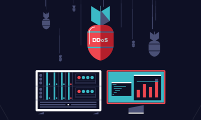 DDoS Protection for Web Hosting