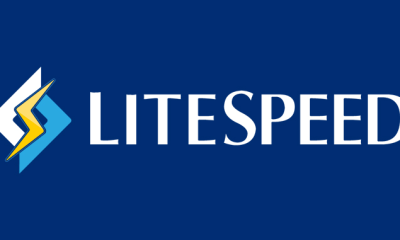 What You Should Know About LiteSpeed Web Server
