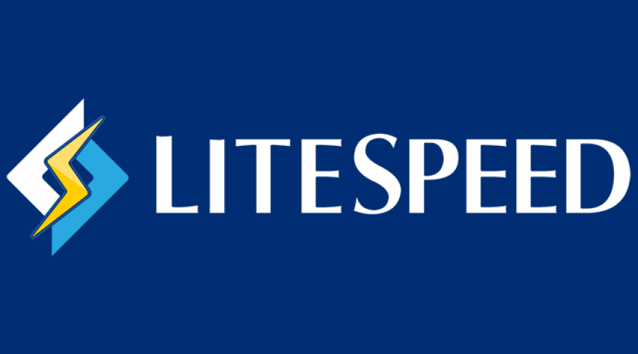 What You Should Know About LiteSpeed Web Server